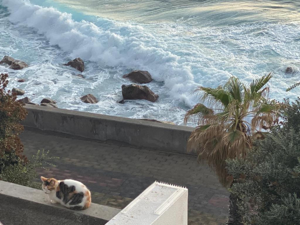 Holiday home Sea House Jardim do Mar